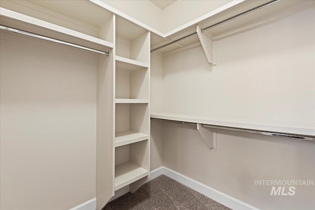 walk in closet with carpet