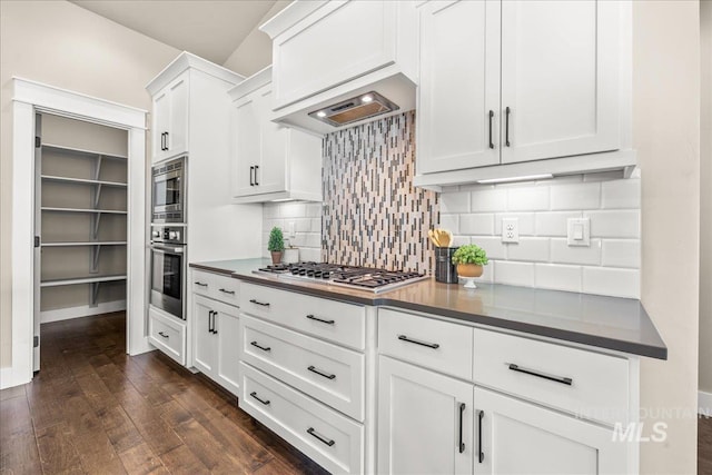495 W Tall Prairie Dr, Meridian, ID 83642 - kitchen featuring stainless steel appliances, dark wood-type flooring, white cabinets, tasteful backsplash, and custom range hood