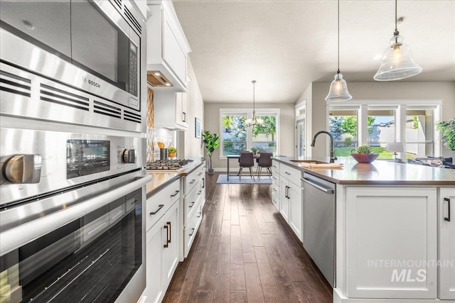 495 W Tall Prairie Dr, Meridian, ID 83642 - kitchen with appliances with stainless steel finishes, a sink, dark wood-type flooring, white cabinets, and decorative light fixtures