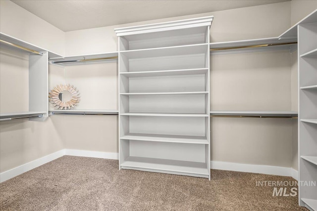 495 W Tall Prairie Dr, Meridian, ID 83642 - walk in closet with carpet