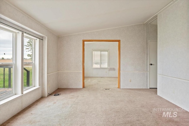 unfurnished room featuring carpet and plenty of natural light