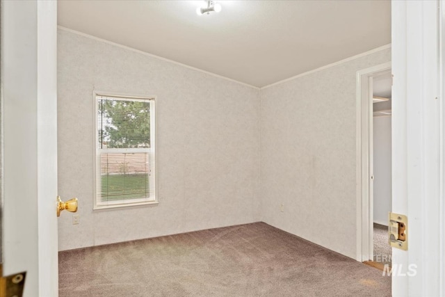 empty room featuring carpet flooring and crown molding