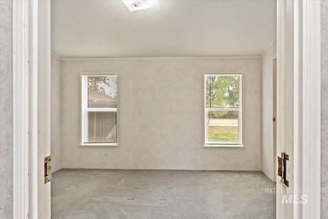 spare room featuring ornamental molding and carpet floors