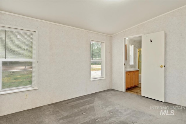 unfurnished room with light carpet, lofted ceiling, and ornamental molding
