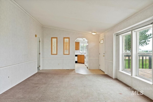unfurnished room with light colored carpet, plenty of natural light, vaulted ceiling, and arched walkways