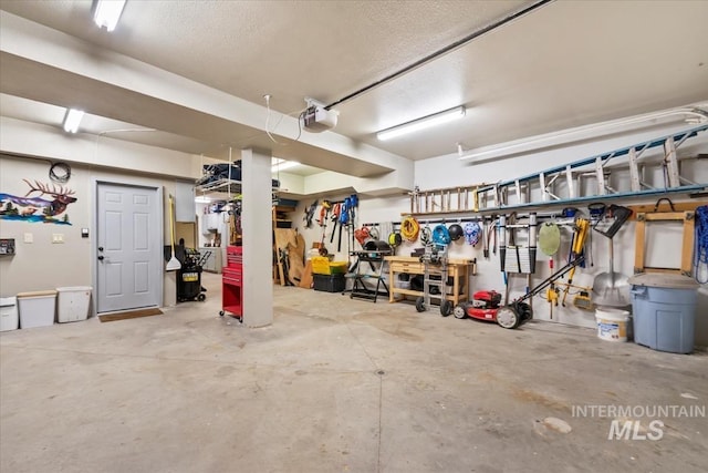 1533 Pine Lakes Ranch Dr, Cascade, ID 83611 - garage with a garage door opener and a workshop area