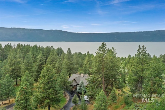 1533 Pine Lakes Ranch Dr, Cascade, ID 83611 - water view with a mountainous background