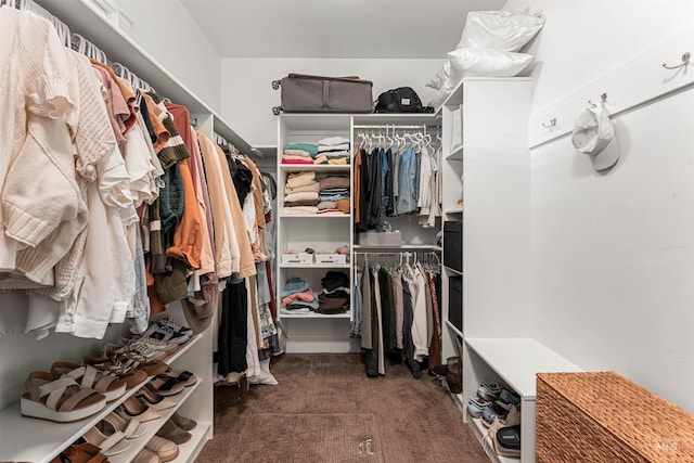 1912 N Bottle Creek Pl, Eagle, ID 83616 - spacious closet featuring carpet floors