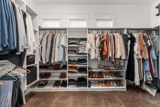 1912 N Bottle Creek Pl, Eagle, ID 83616 - walk in closet with carpet floors