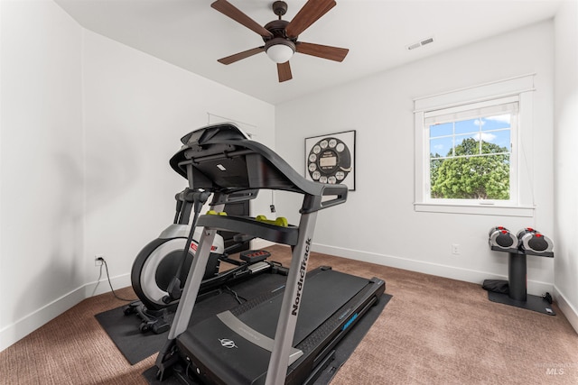 1912 N Bottle Creek Pl, Eagle, ID 83616 - exercise area with ceiling fan, baseboards, and carpet flooring