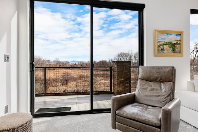 sitting room with a wall of windows and carpet