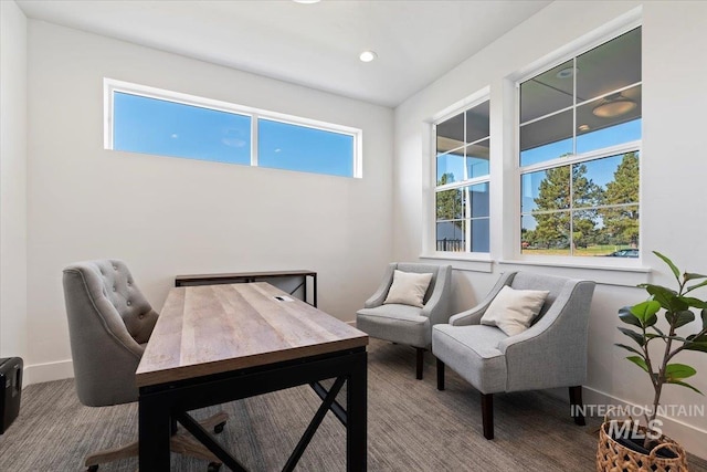 2394 E Monhegan Dr, Eagle, ID 83616 - office space featuring plenty of natural light, baseboards, and recessed lighting