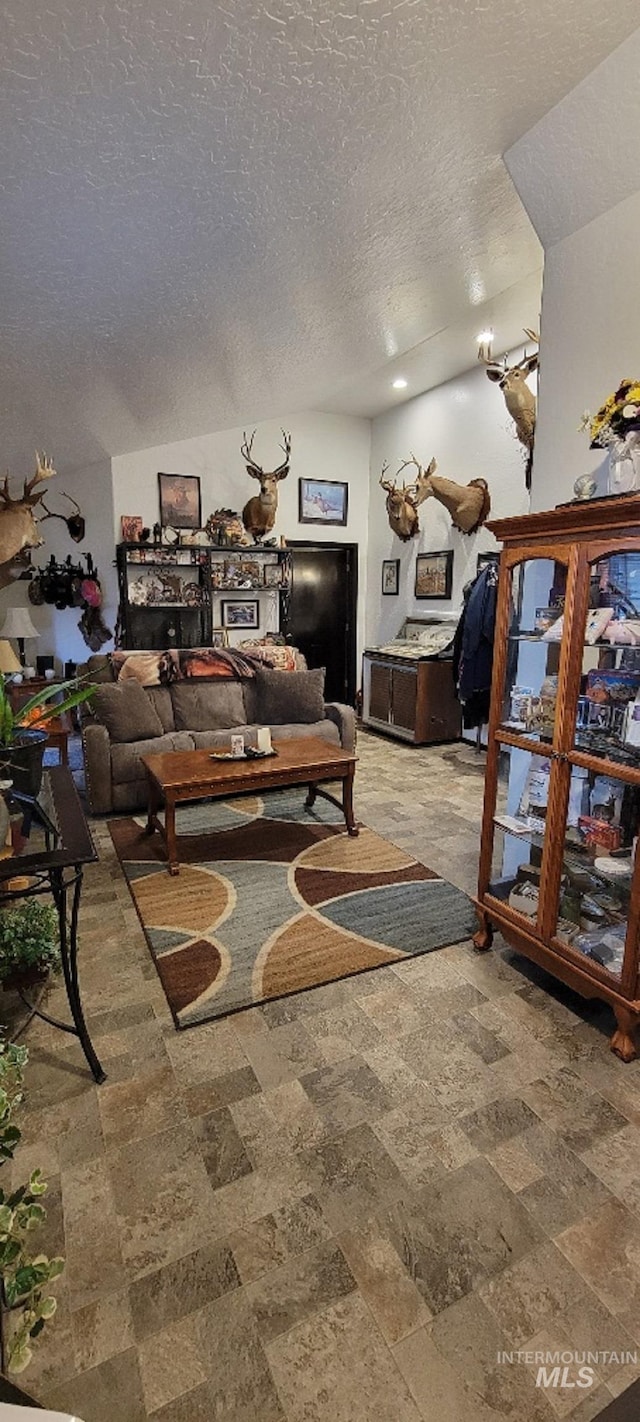 living room with a textured ceiling