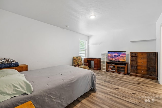 11002 W Hidden Point St, Star, ID 83669 - bedroom featuring wood finished floors