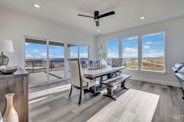 dining room featuring ceiling fan and light hardwood / wood-style floors