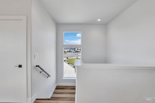 stairway with hardwood / wood-style flooring