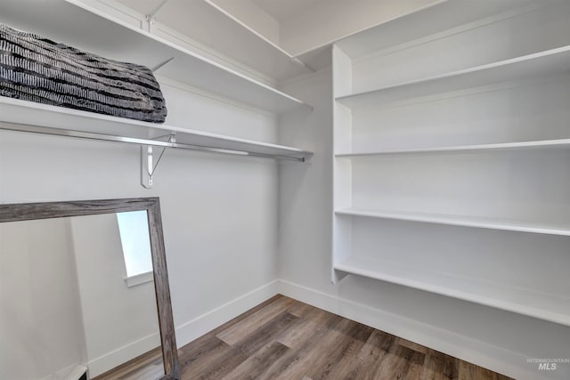 walk in closet featuring wood-type flooring