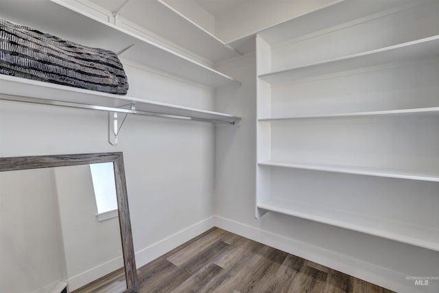 spacious closet with dark wood-style flooring