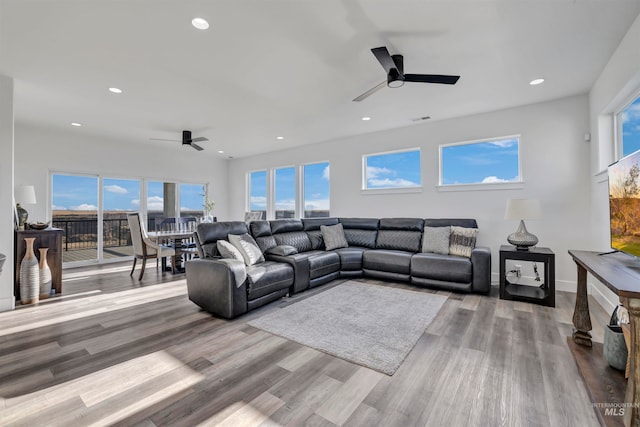 living room with ceiling fan, plenty of natural light, and hardwood / wood-style floors