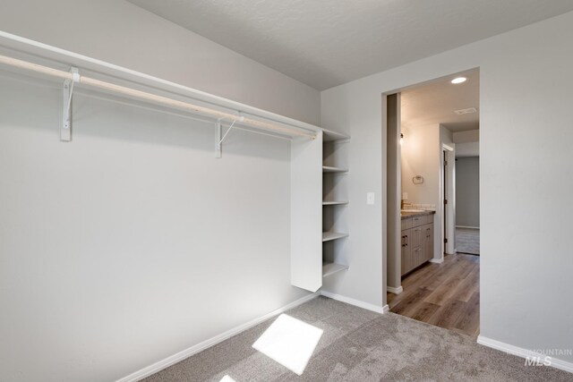 2853 N Eagle Meadow Ave, Kuna, ID 83634 - walk in closet with light colored carpet