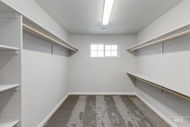 2853 N Eagle Meadow Ave, Kuna, ID 83634 - spacious closet with carpet