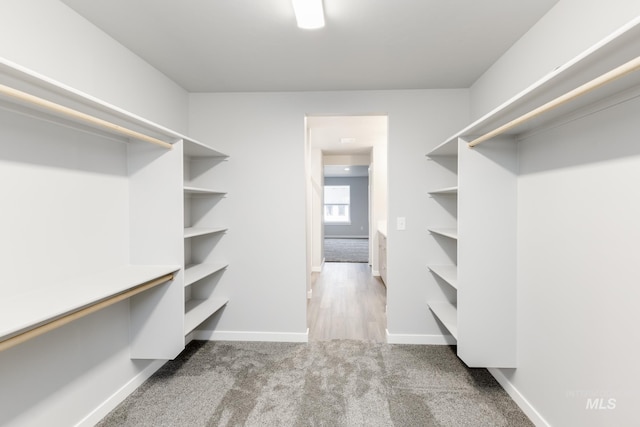 2853 N Eagle Meadow Ave, Kuna, ID 83634 - walk in closet with carpet