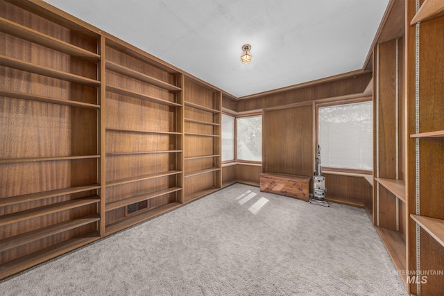 2371 SW 2nd Ave, Ontario, OR 97914 - carpeted spare room with wood walls