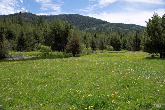 Listing photo 2 for TBD27 Clear Creek Rd, Cascade ID 83611