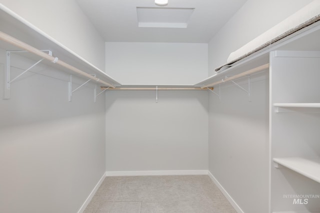 spacious closet featuring carpet flooring