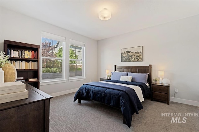 4153 E Raincloud Ln, Boise, ID 83716 - bedroom featuring carpet flooring
