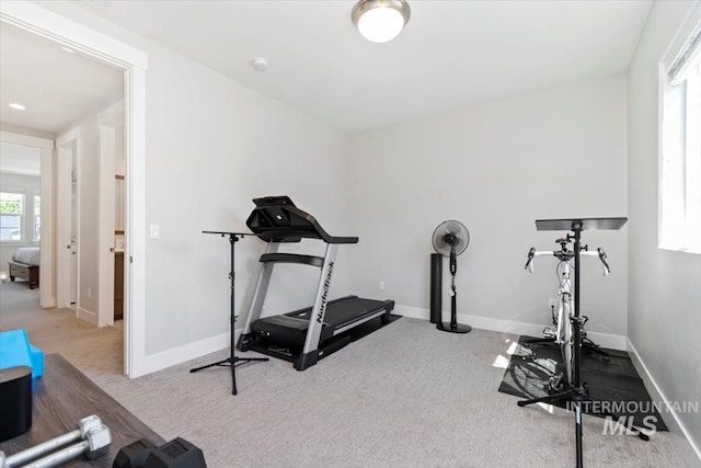 4153 E Raincloud Ln, Boise, ID 83716 - workout room featuring carpet floors and baseboards