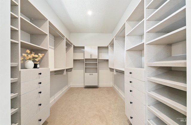 3496 W Parodin St, Eagle, ID 83616 - spacious closet with light carpet