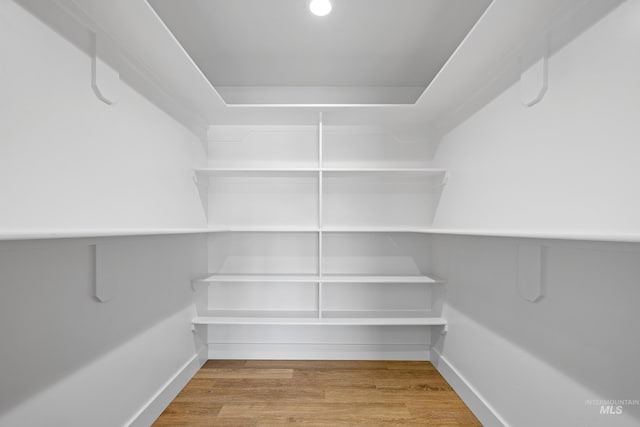 walk in closet with hardwood / wood-style flooring