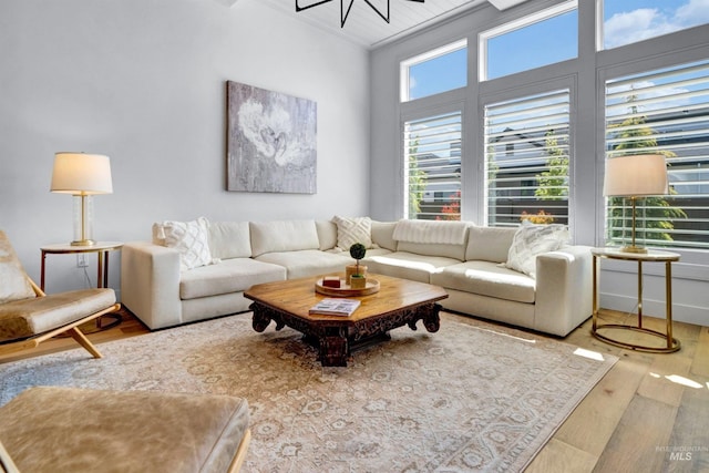 living area featuring wood finished floors