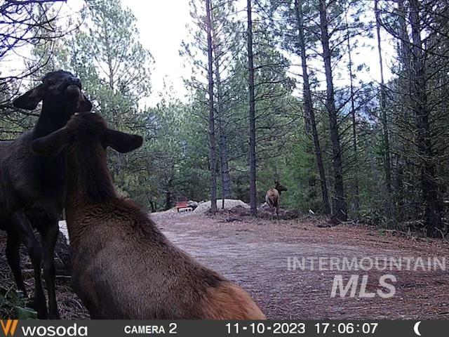 45 Price Loop, Cascade, ID 83611