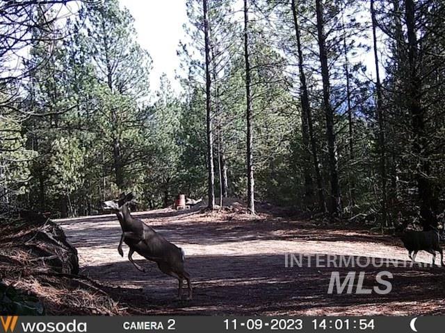 45 Price Loop, Cascade, ID 83611