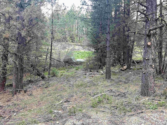 45 Price Loop, Cascade, ID 83611