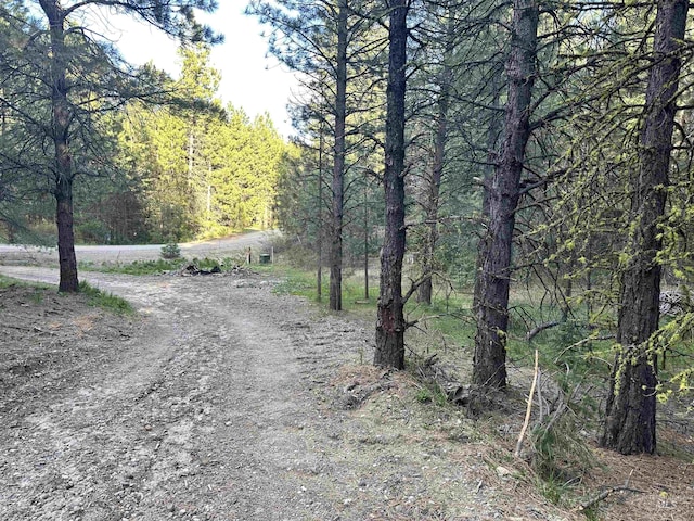 45 Price Loop, Cascade, ID 83611