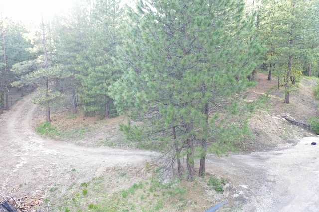 45 Price Loop, Cascade, ID 83611