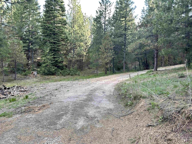 45 Price Loop, Cascade, ID 83611