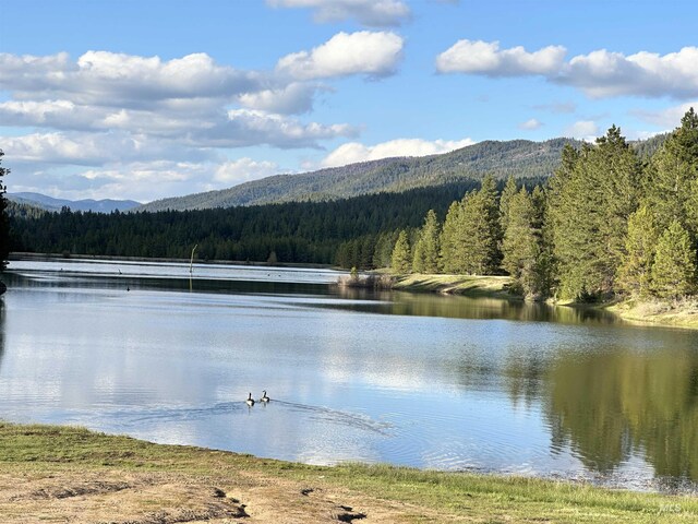 45 Price Loop, Cascade, ID 83611