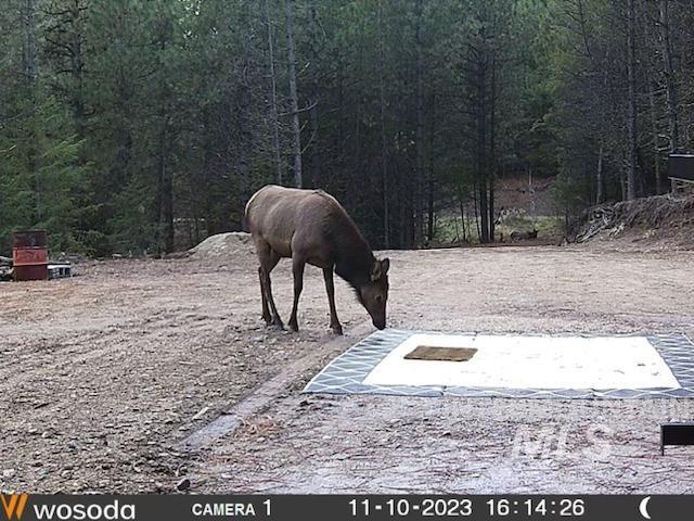 45 Price Loop, Cascade, ID 83611