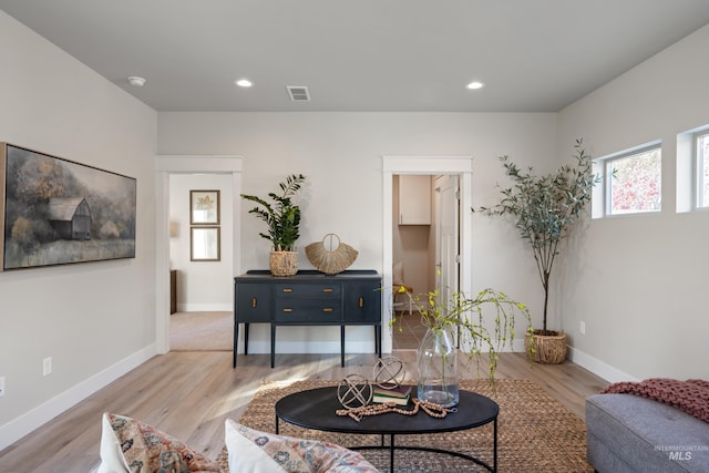 living room featuring light hardwood / wood-style floors