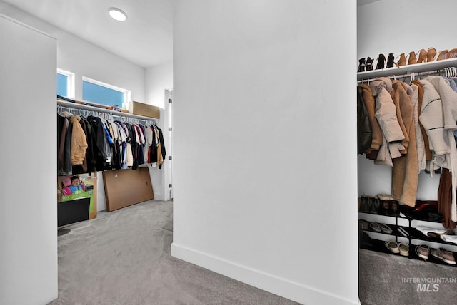 walk in closet with light carpet