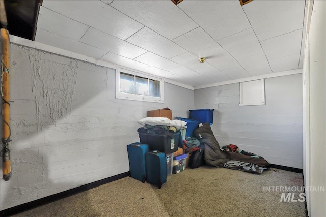 202E 2nd St, Shoshone, ID 83352 - basement with carpet floors
