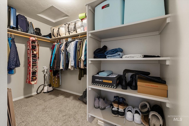 1814 N Rosedust Dr, Kuna, ID 83634 - spacious closet with carpet flooring and attic access