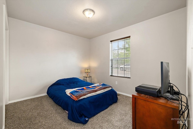 1814 N Rosedust Dr, Kuna, ID 83634 - carpeted bedroom with baseboards