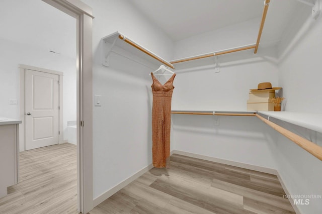 17869 N Onaway Ave, Nampa, ID 83686 - walk in closet with light wood finished floors