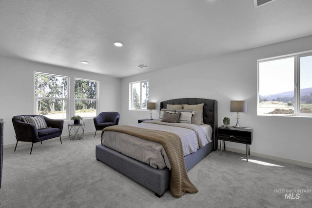 17869 N Onaway Ave, Nampa, ID 83686 - carpeted bedroom with baseboards and recessed lighting