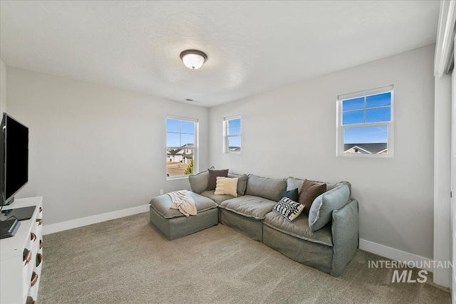 living room featuring baseboards and carpet